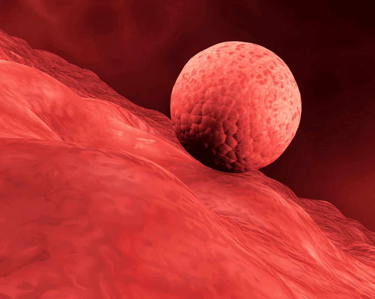 Cientistas recriam útero